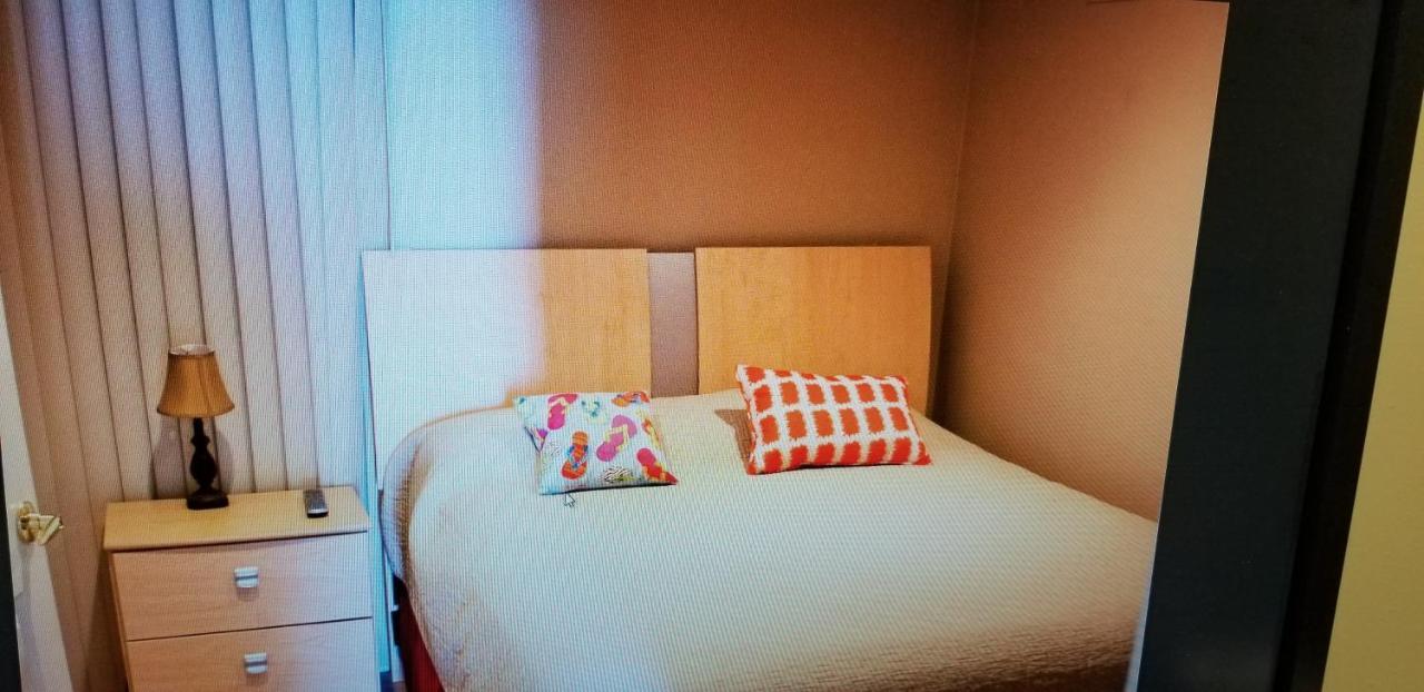 Pirates Cove Studios! Hotel 3*